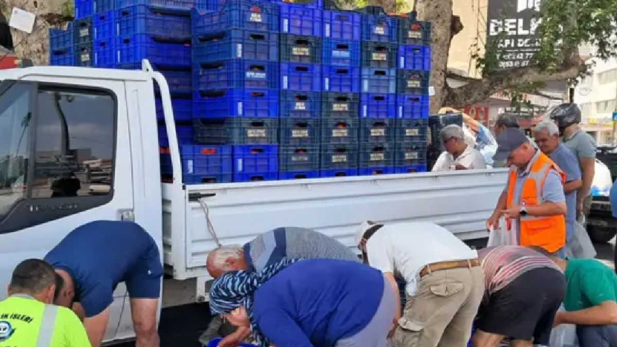 Çiftçi 4 ton domatesi bedava dağıttı: Haldeki fiyatı kurtarmadı