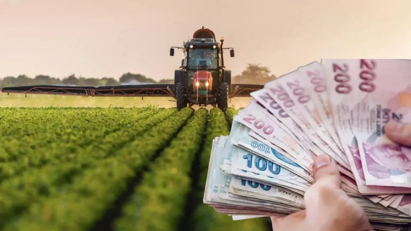 Çiftçilere 165.5 Milyon TL Destek Ödemesi Bugün Hesaplarda