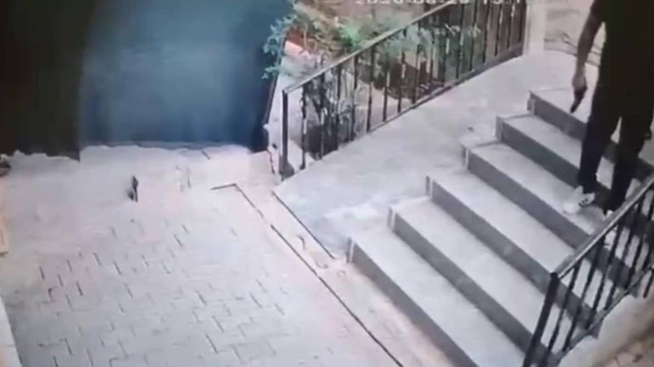 Çocuk Kavgası Aileleri Karşı Karşıya Getirdi