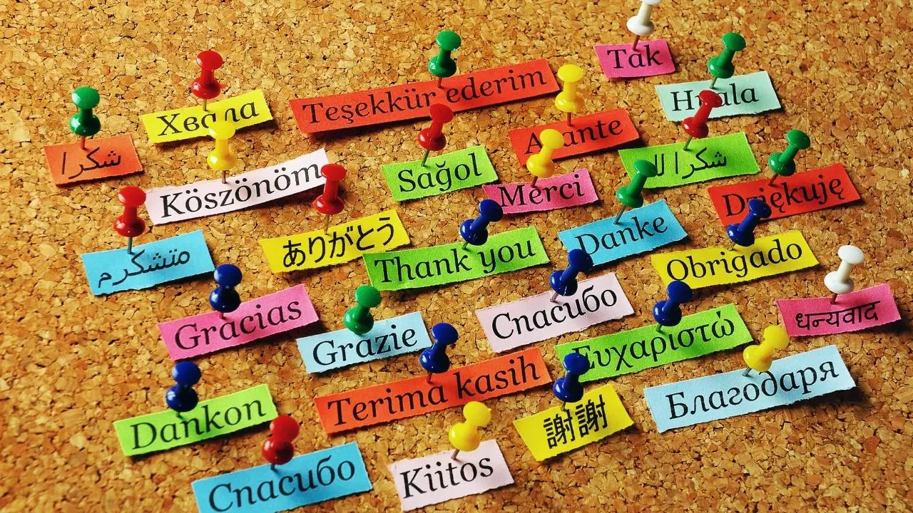 Çok Dil Bilenlerin Beyni Daha Genç Kalıyor