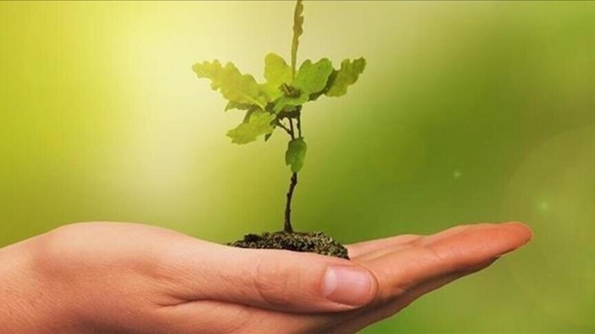 COP31 Gençlik İklim Ideathonu İçin Başvurular Başladı