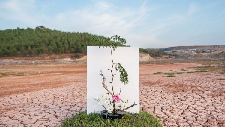 COP31'a Rekor Başvuru: 3 Bin 373 Akademik Proje Değerlendirmede
