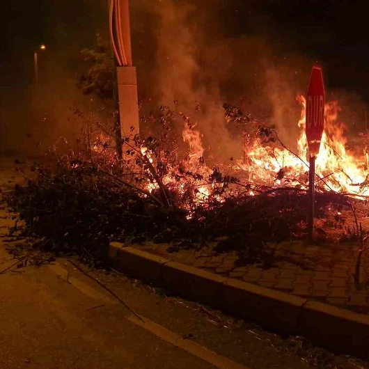 Çorum Alaca'da Örtü Yangını Kontrol Altına Alındı