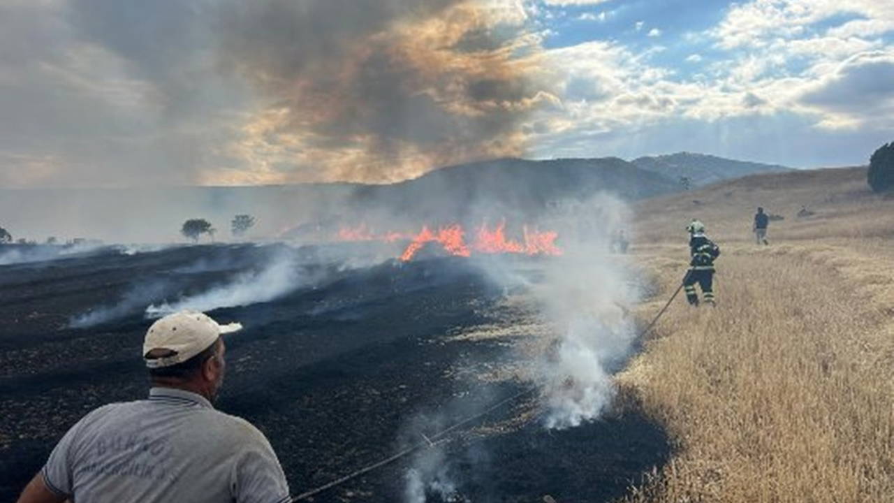 Çorum'da anız yangını: 3 arı kovanı kül oldu