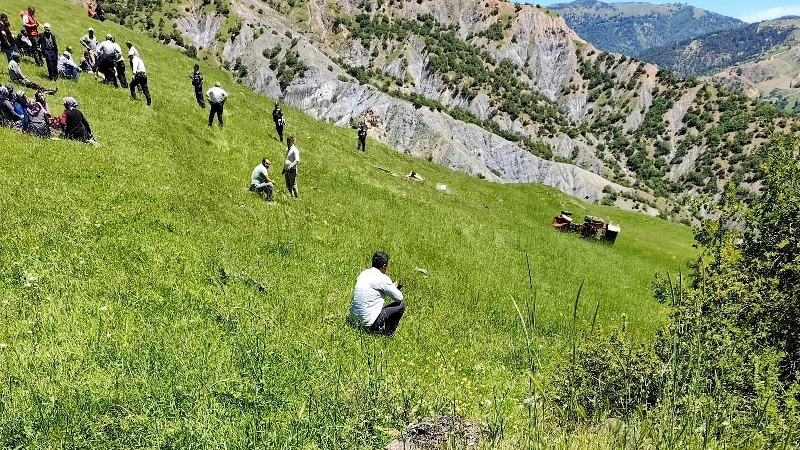 Çorum'da traktör devrildi: Sürücü hayatını kaybetti