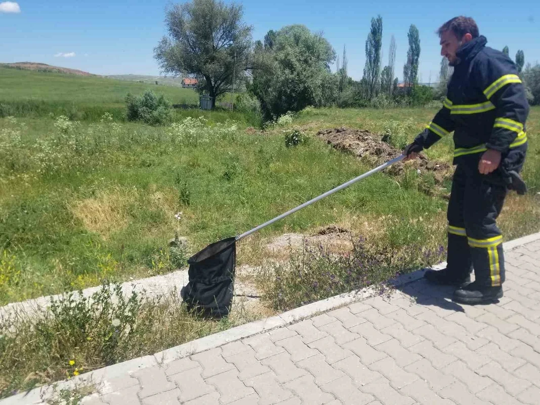 Çorum'da eve giren yılan itfaiye tarafından yakalandı