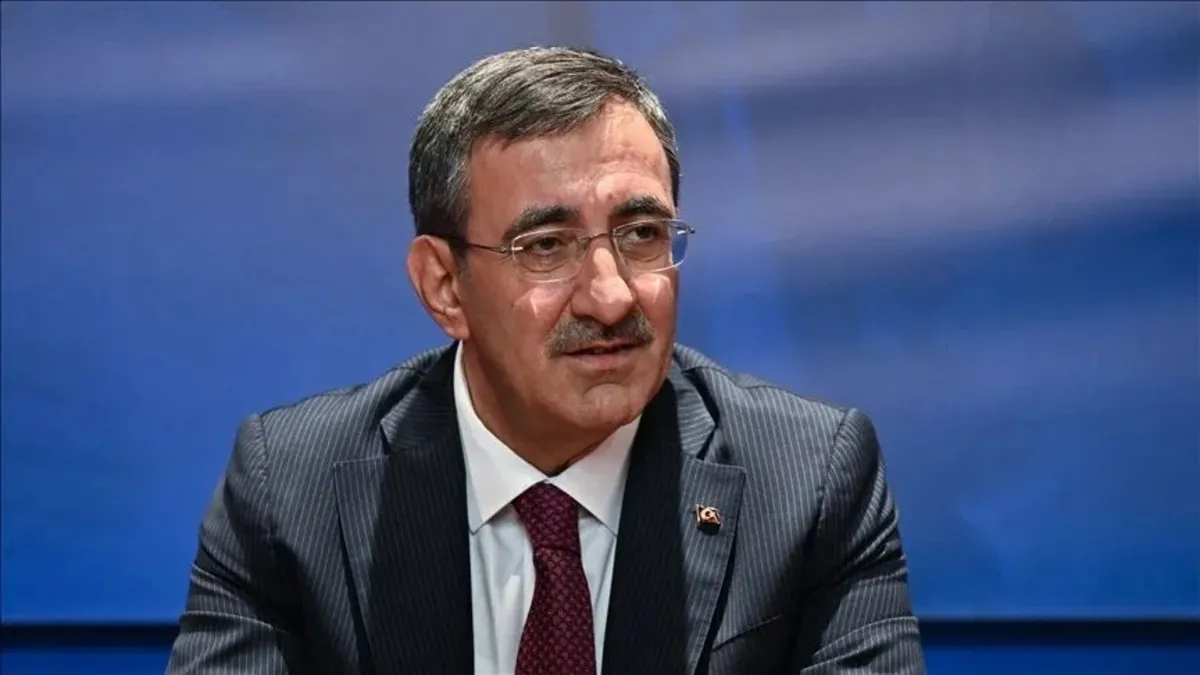 Cumhurbaşkanı Yardımcısı Yılmaz'dan AP'ye Barış Harekatı tepkisi