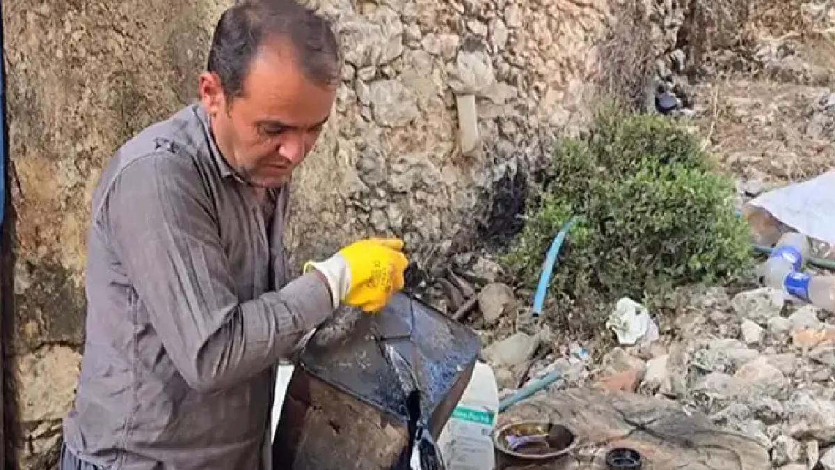 Dağlardan Toplanan Sedir Kökleri Varilde İşlenip Kilosu 1000 Liradan Satılıyor