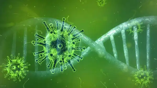 Dang Virüsü Nedir? Belirtileri ve Korunma Yolları