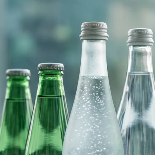 Danone Türkiye, Sırma, Hayat ve Akmina'yı Ceylan İşletme'ye satıyor