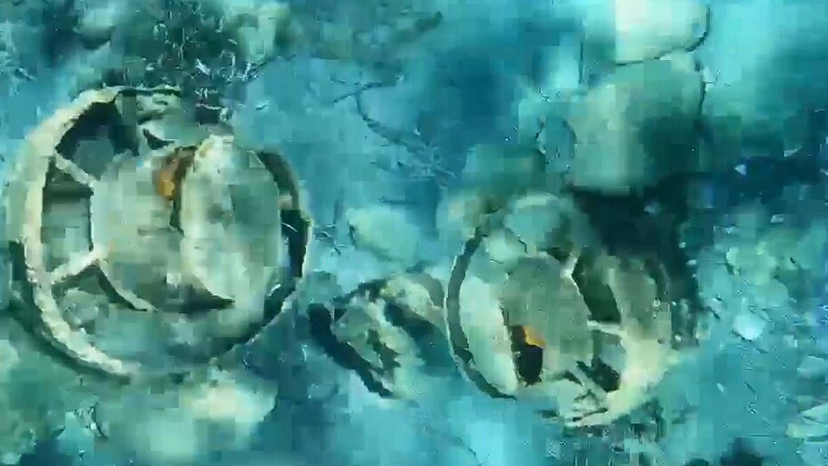 Datça'da deniz dibinde bulunan savaş uçağı 80 yıllık sırrı çözdü