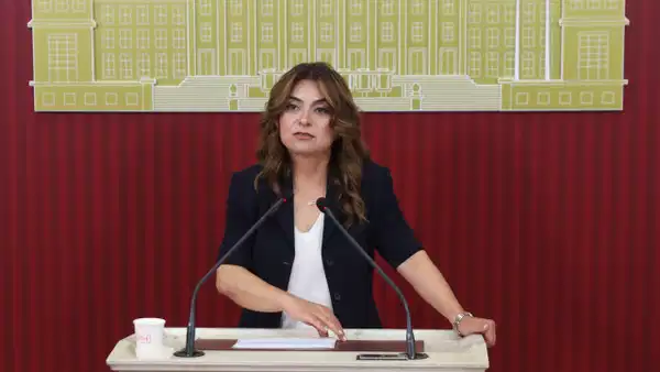 DEM Parti'den süreçte çerçeve yasa taslağı açıklaması
