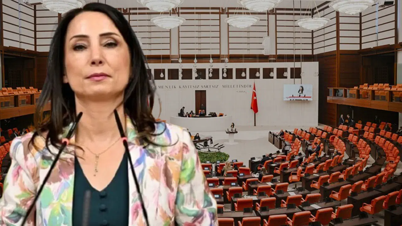DEM Partili Hatimoğulları'nın 'çıplak arama' iddiasına TBMM'den yanıt