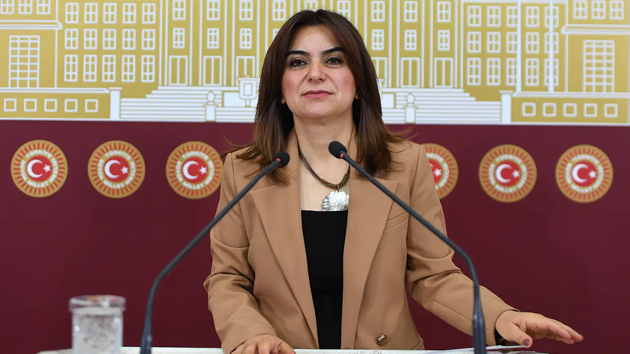 DEM Partili Koçyiğit: NATO Vitrinine Baskı Rejimi Yakışmıyor