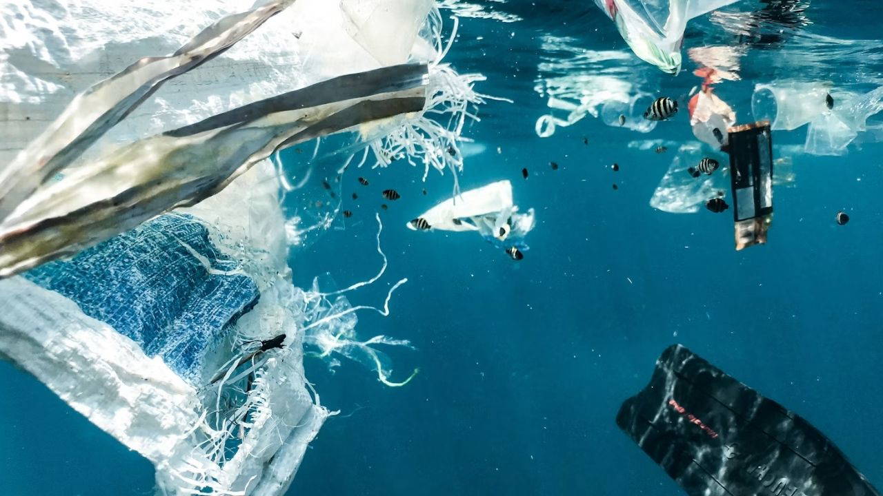 Deniz Yatağındaki Çöpler Yapay Zeka ile Tespit Edilecek