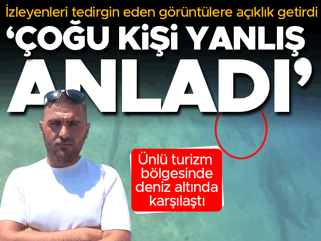 Denizde Köpek Balığıyla Burun Buruna Geldi! O Anlar Kamerada