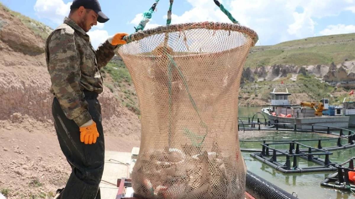 Denizi olmayan şehirden 49 ülkeye günde 100 ton balık ihracatı