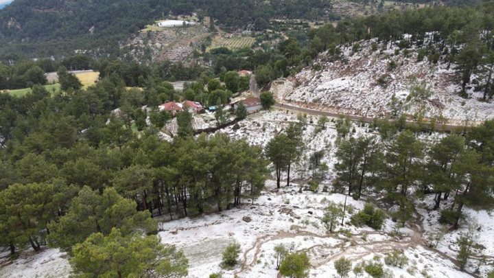 Denizli'de aniden bastıran dolu tarım alanlarını vurdu: 'Emeklerimiz ziyan oldu