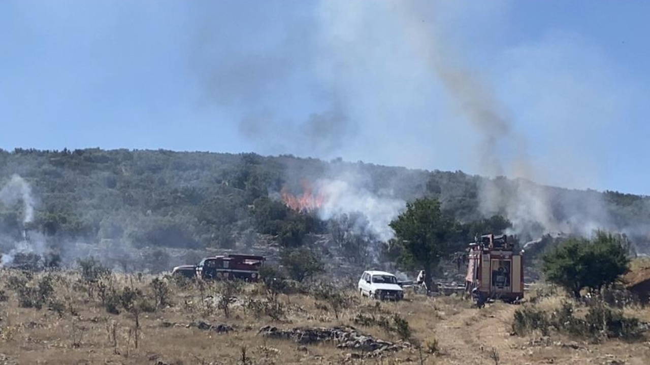 Denizli'de arıcının tütsüsü orman yangınına yol açtı