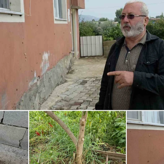 Deprem Sonrası Salyangoz İstilası: Hatay'da Mahalle Sakinleri Çaresiz