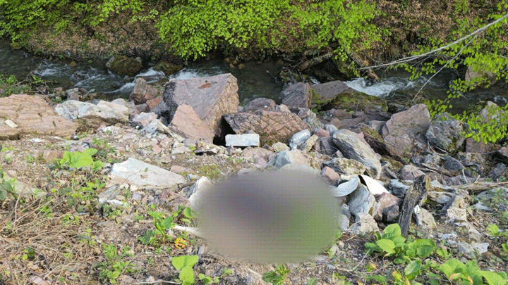 Dere kenarında bıçaklanarak öldürülmüş halde bulundu! 3 bin 900 saatlik kamera görüntüleri incelendi, katil zanlısı yakalandı