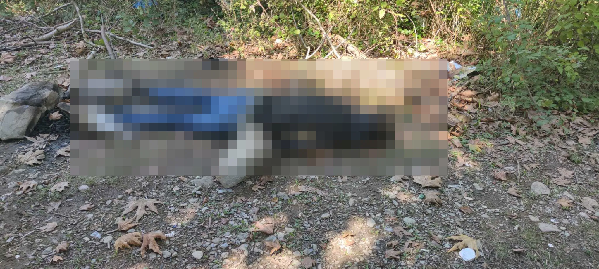 Dere Kenarında Korkunç Cinayet: Balık Tutan Köylüler Cesedi Buldu
