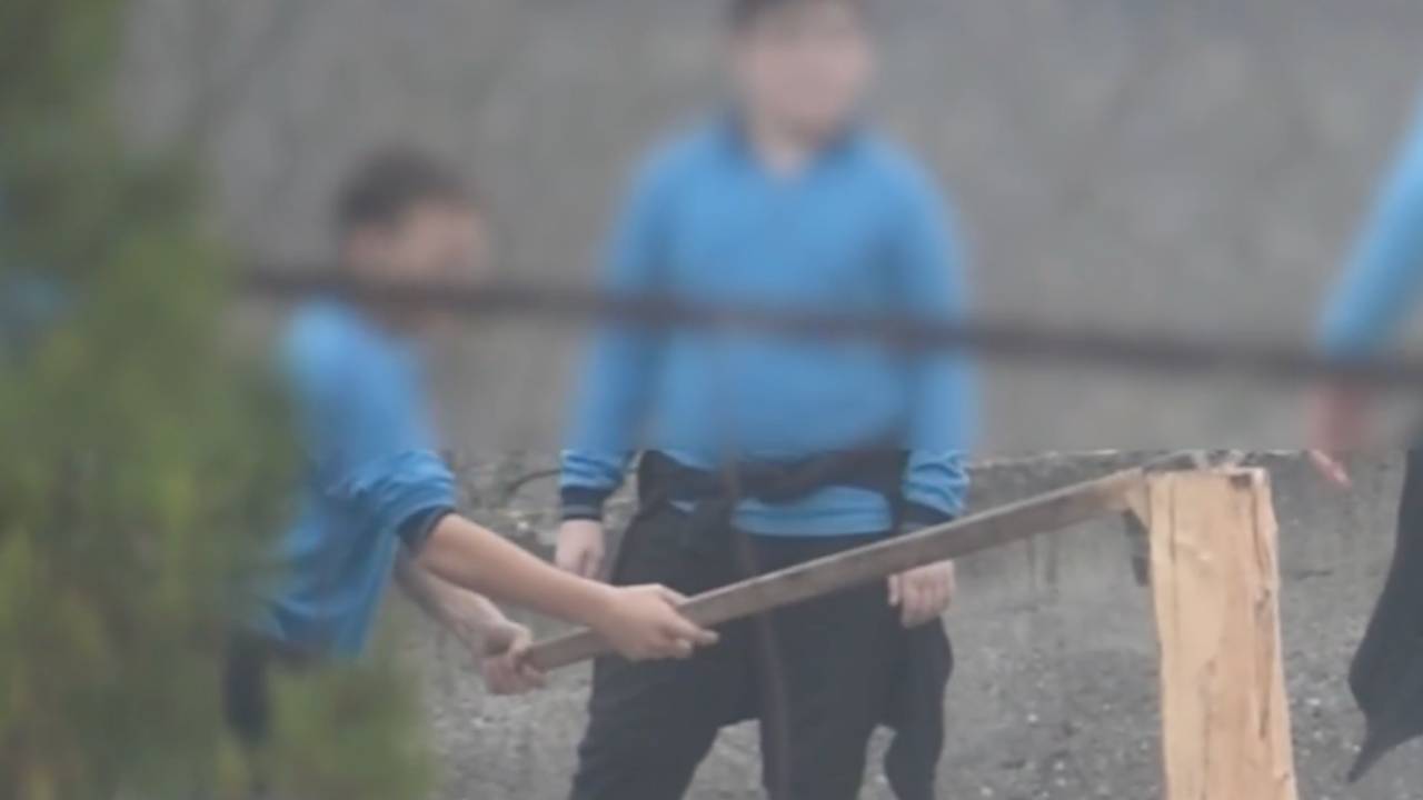 Derste olmaları gereken öğrencilere okul bahçesinde ağaç kestirildi