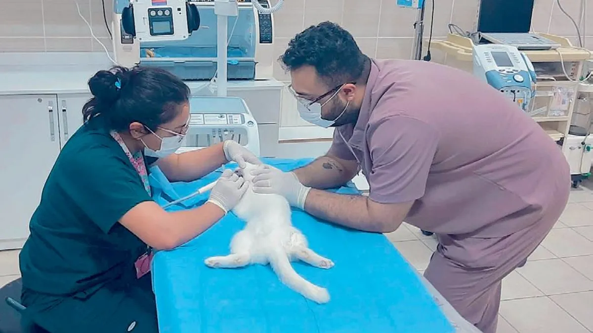 Dicle Üniversitesi'nde 5 Yıldızlı Hayvan Hastanesi Hizmete Sunuldu