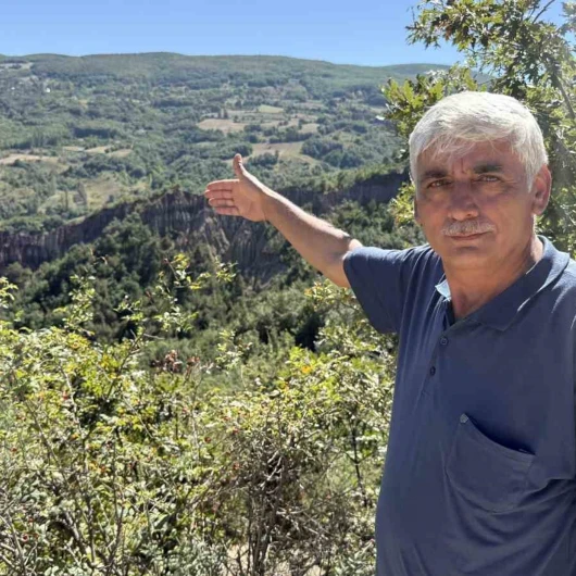 Dilim Kayalar: Tokat Niksar'da Binlerce Yıllık Doğa Harikası