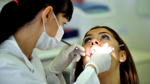 Diş hekimlerinde doktora ve uzmanlık yolu: DUS zorunluluğu
