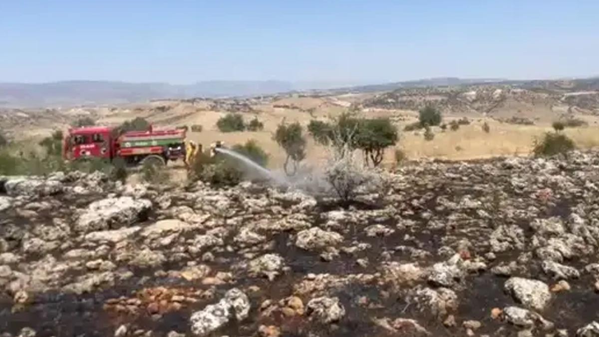 Diyarbakır'da 270 Dönüm Arazi Küle Döndü: Hani ve Lice'deki Yangınlar Kontrol Altına Alındı