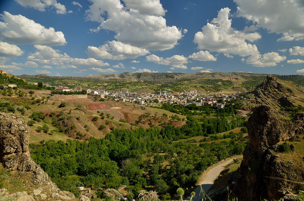 10 Yıl Sonra Gelen Adalet: Diyarbakır Çermik'teki Cinayet Aydınlatıldı