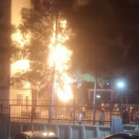 Diyarbakır'da Havai Fişek Paniği: Ağaç Tutuştu, Evler Son Anda Kurtuldu