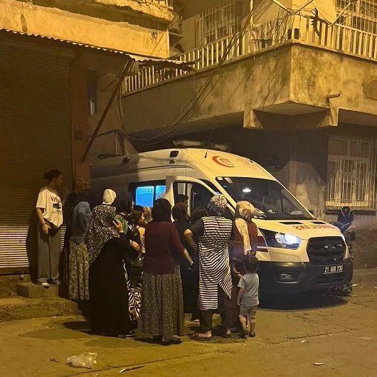 Diyarbakır'da Kadın Cinayeti: Eşini Av Tüfeğiyle Öldürdü