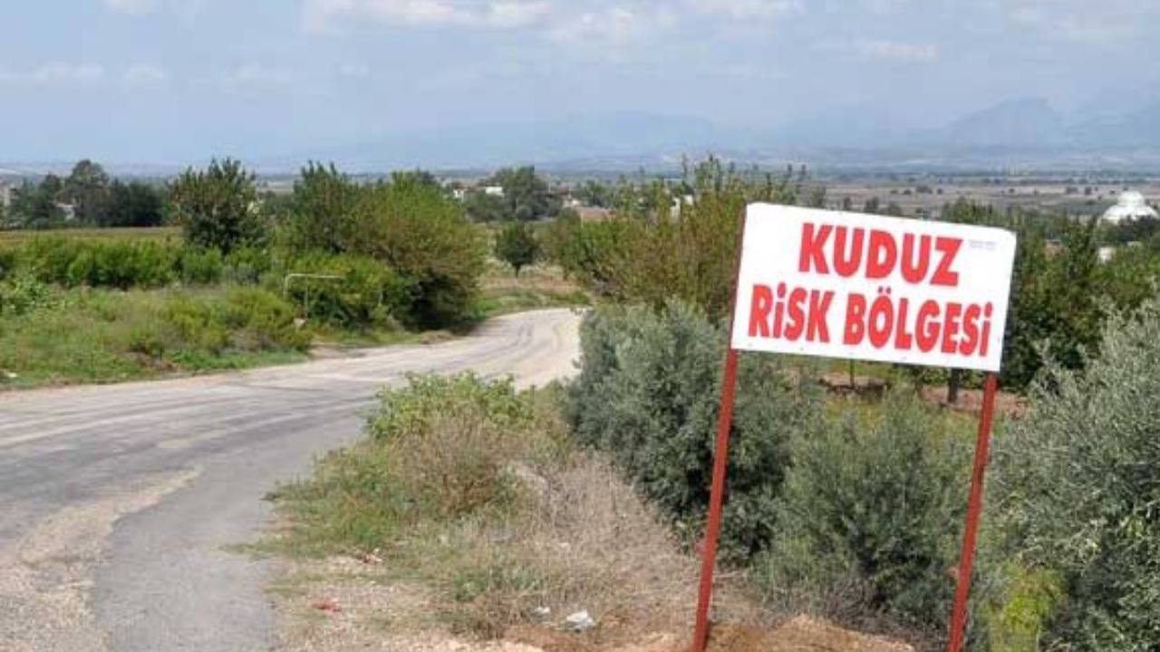 Diyarbakır'da Kedi Isırığı Kuduz Şüphesi: 4 Yaşındaki Çocuk Entübe Edildi