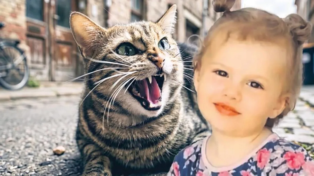Diyarbakır'da kedi ısırması sonucu kuduz olan Nehir bebek hayatını kaybetti
