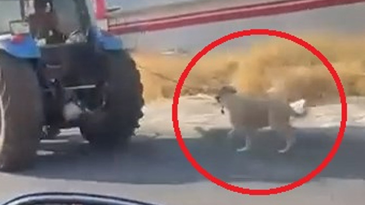 Diyarbakır'da Köpeği Traktöre Bağlayıp Koşturan Şahıs Kamerada