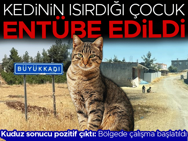 Diyarbakır'da kuduz alarmı: 4 yaşındaki çocuk entübe edildi
