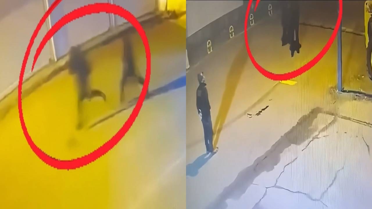 Diyarbakır'da silahlı suç örgütü operasyonu: 15 tutuklama