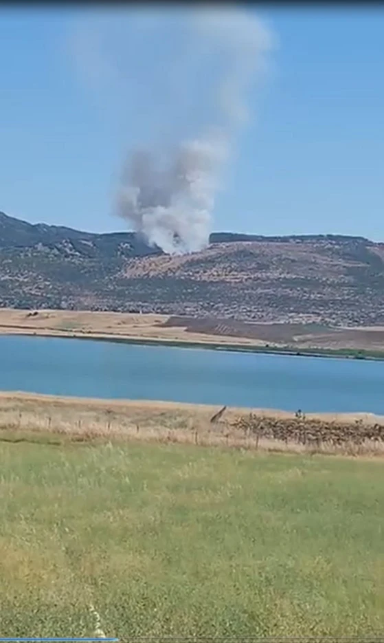 Diyarbakır Silvan'da orman yangını: Meşe ağaçları kül oldu