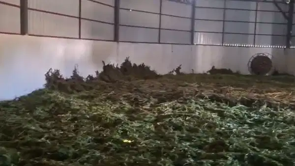 Diyarbakır'da 2.2 Ton Esrar Ele Geçirildi: 3 Tutuklama