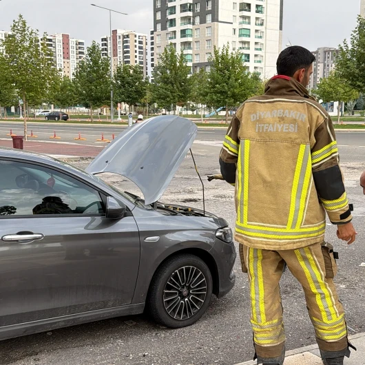 Diyarbakır'da Yılan Paniği: Otomobilin Kaputuna Girdi
