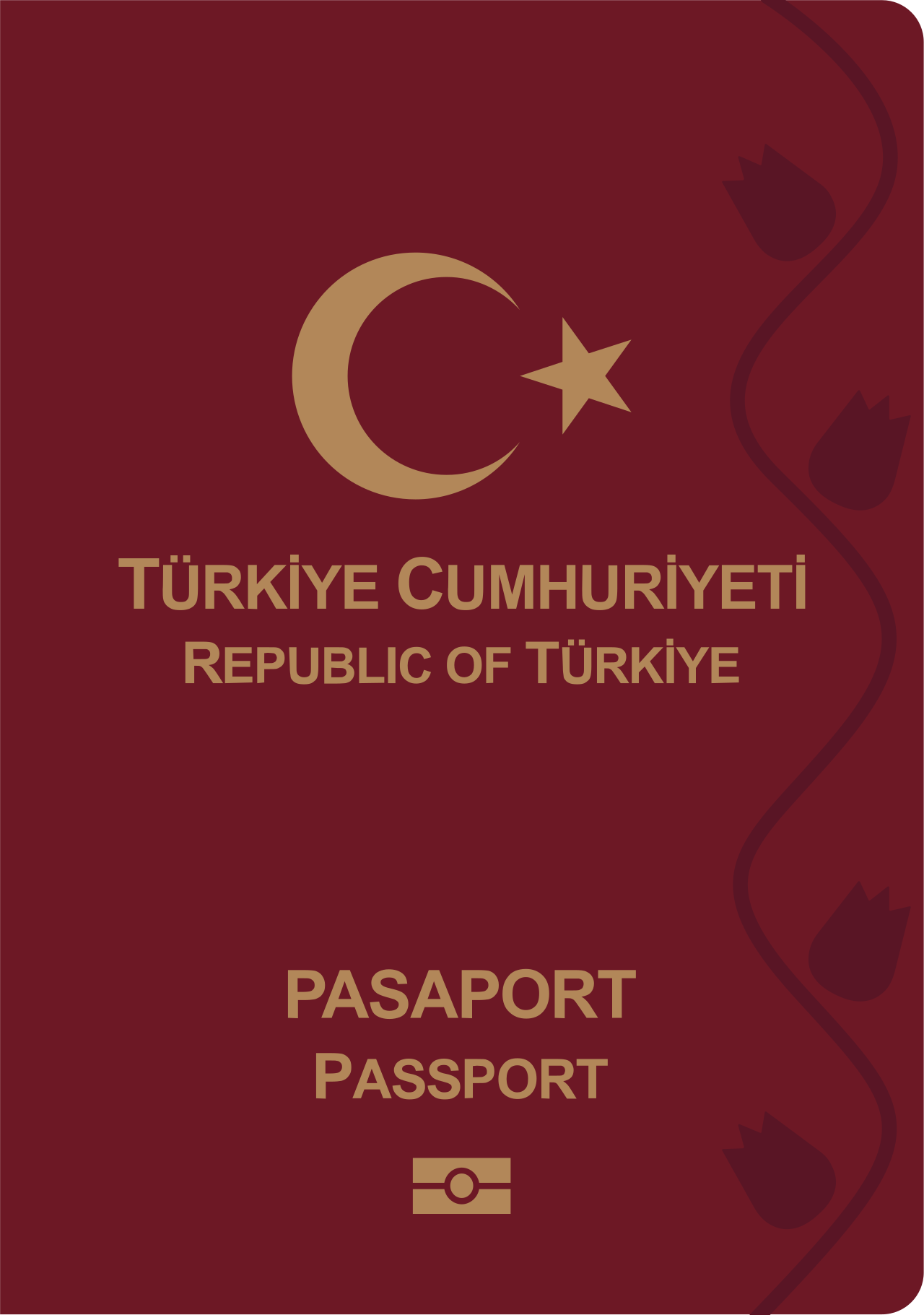 DMM'den yeşil pasaport iddialarına resmi yalanlama