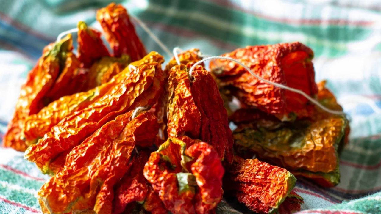 Dolmalık Patlıcan ve Biber Kurutmanın Püf Noktaları