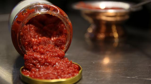 Domates Salçası Beyin Fonksiyonlarını Nasıl Etkiliyor