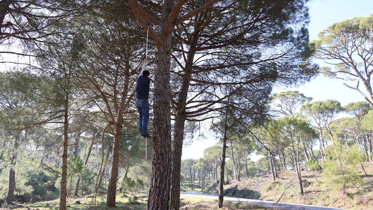 Doski Vadisi'nde 50 Yıllık Fıstık Üretimi: Kimse İnanmadı, Biz Başardık