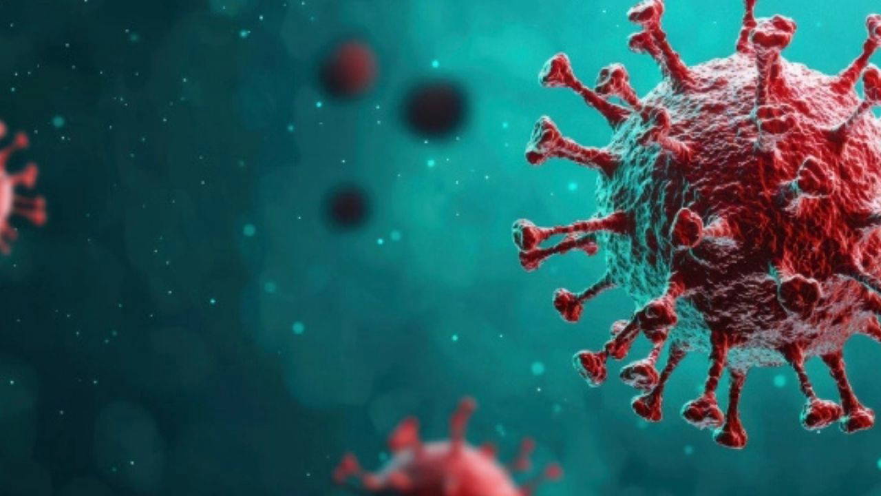 DSÖ: Hantavirüs Salgını Kontrol Altında, Durum Stabil