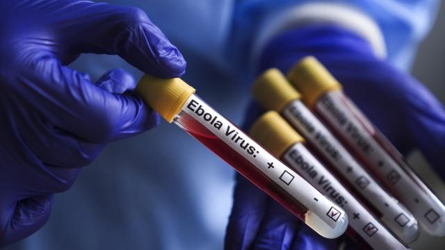 DSÖ: KDC'deki Ebola Salgını Hâlâ Küresel Acil Durum