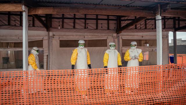 DSÖ: Kongo'daki Ebola Salgını Kontrolden Çıktı