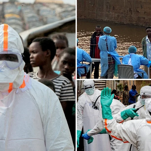 DSÖ: Kongo'da Ebola Salgını Kontrol Altına Alınamıyor